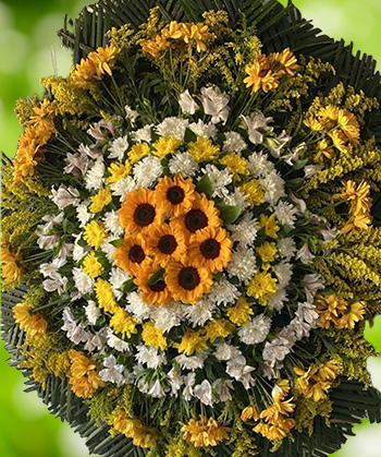 coroas08